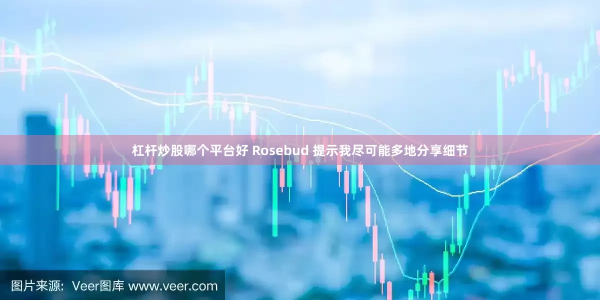 杠杆炒股哪个平台好 Rosebud 提示我尽可能多地分享细节