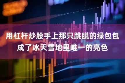 用杠杆炒股手上那只跳脱的绿包包成了冰天雪地里唯一的亮色